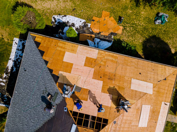 Best Roof Replacement Cost  in Paisley, FL