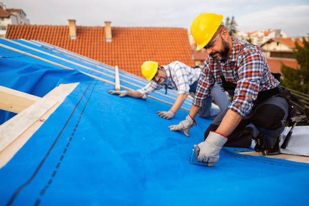 Residential Roof Replacement in Paisley, FL