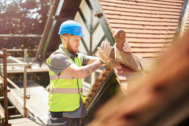 Best Roof Gutter Cleaning  in Paisley, FL